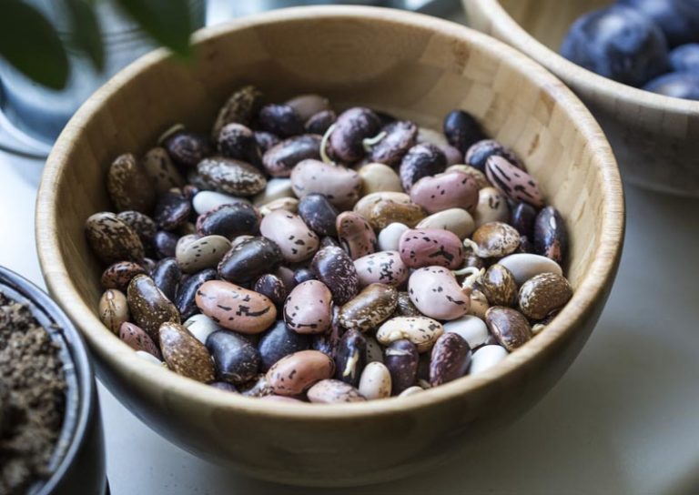 Best Weighted Blanket Fillers The Ultimate Fillings Guide